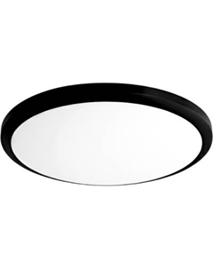 Потолочный светильник Truenergy 11603