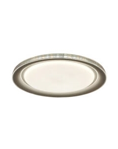 Потолочный светильник Leek Pandora LE 061204-005