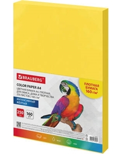 Бумага Brauberg А4 160г/м2 / 116674
