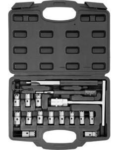 Набор автоинструмента Thorvik DICS17