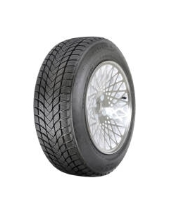 Зимняя шина Landsail Winter Lander 165/70R14 81T