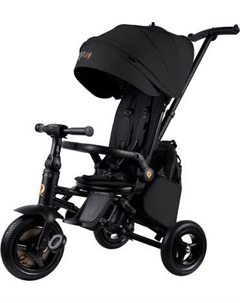 Трехколесный велосипед с ручкой QPlay S702 Sprinter Max Black Qplay