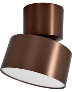 Спот Truenergy 11513