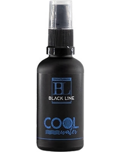 Освежитель автомобильный Shine Systems Black Line CoolWater / SSBL981 Shine systems