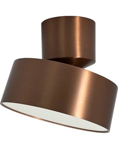 Спот Truenergy 11518