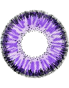 Комплект контактных линз Hera Classic Violet Sph-1.50
