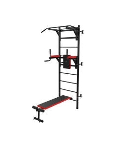 Шведская стенка DFC D-1235 Dfc