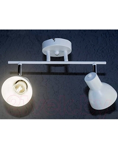 Спот Aitin-Pro НПБ 02-2x60-101 / N4762/2 Aitin-pro