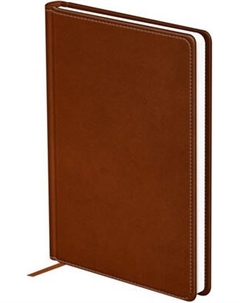 Ежедневник BG Winner. Brown А6 / DuA6_60969 Bg