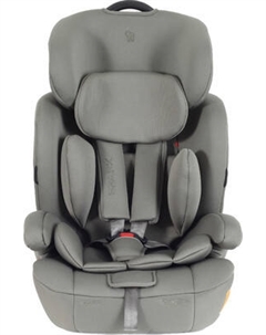 Автокресло Rant Spark Next Isofix Basic / ZY12