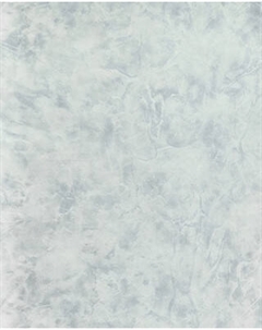 Бумажные обои Гомельобои Флауверс фон к-21 24ДТР