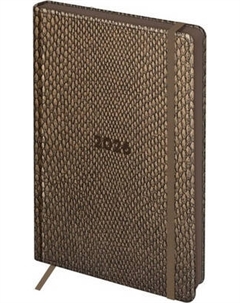 Ежедневник BG Python. Dark khaki 2026г А5 / DdА5_09401 Bg