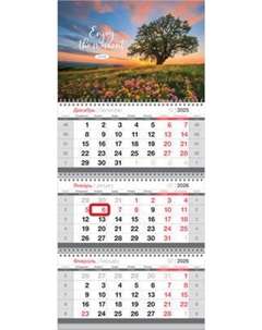 Календарь настенный BG Цветущий закат / 380956 Bg