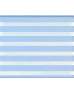 Рулонная штора Jalux День-Ночь Софт bh 4 60x160