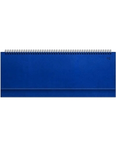 Планинг BG Winner. Blue / Pu_22050 Bg