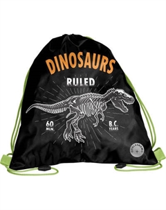 Мешок для обуви Paso BR-712-4