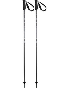 Горнолыжные палки Elan Speedrod 2025-2026 / CD532023-125