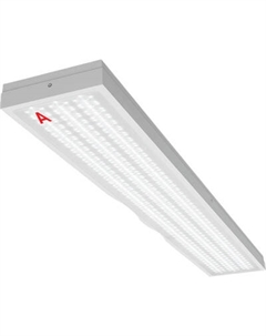 Панель светодиодная Wolta ДПО13-54-142-6К