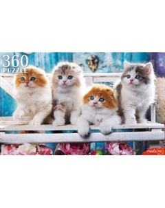 Пазл РЫЖИЙ КОТ Четыре котенка / ШТП360-4700 Рыжий кот