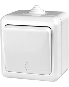 Выключатель Tokov Electric TKL-DT-P1-C01-IP54 Tokov electric