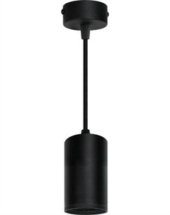 Потолочный светильник Truenergy 21328