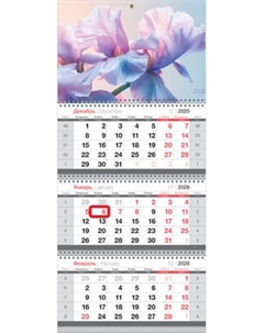 Календарь настенный BG Лепестки / 380954 Bg