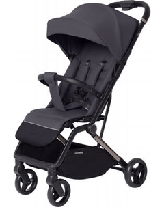 Детская прогулочная коляска Carrello Porto CRL-5522