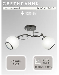 Потолочный светильник Aitin-Pro НПБ 02-2x60-101 / 6215/2 Aitin-pro