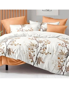 Комплект постельного белья Реноме Семейный Оливковая коллекция УУ 2410