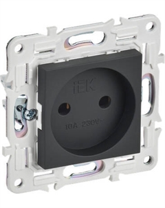 Розетка IEK Skandy SK-R10-10-K53 Iek