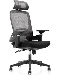 Кресло офисное Insite Rise Evo / 1-IS-MC-05019