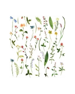 Шторка-занавеска для ванны JoyArty Редкие цветы / sc_14556 Joyarty