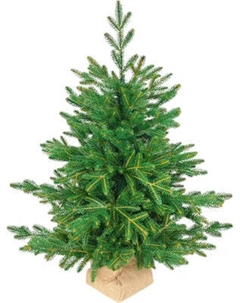 Ель искусственная National Tree Company Рождественская премиум 90см / РД/ПР-90 National tree company