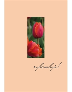 Ежедневник Эксмо Чувствуй! Недатированный