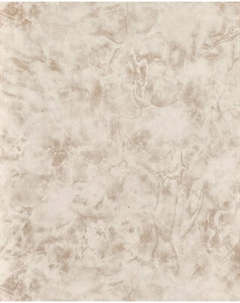 Бумажные обои Гомельобои Флауверс фон к-61 24ДТР