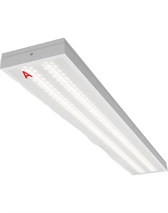 Панель светодиодная Wolta ДПО13-36-142-5К