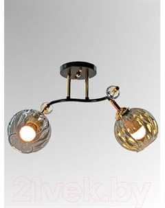 Спот Aitin-Pro НПБ 02-2x60-101 / N5676/2 Aitin-pro