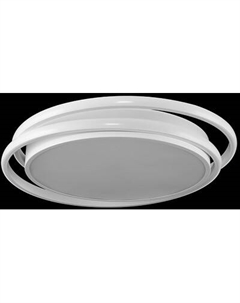 Потолочный светильник Freya FR10031CL-L98W