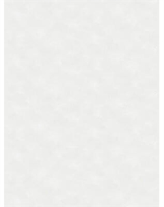 Виниловые обои Аспект 70655-14