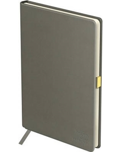 Ежедневник BG Visvim. Grey А5 / DuA5_22789 Bg