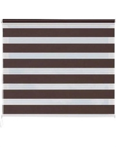 Рулонная штора Jalux День-Ночь Софт s 15 110x160