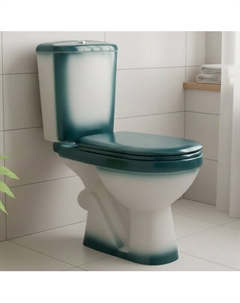 Унитаз напольный Rosa Лира