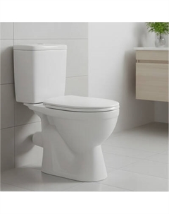 Унитаз напольный Rosa Лира