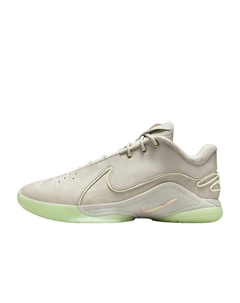 Спортивные кроссовки для баскетбола LeBron XXII Nike