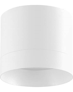 Точечный светильник Truenergy 21025