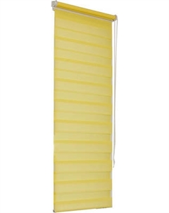 Рулонная штора Jalux День-Ночь Софт bh 1805 100x160