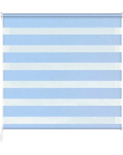 Рулонная штора Jalux День-Ночь Софт bh 4 90x160