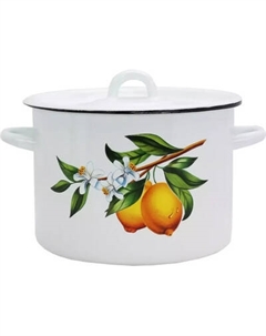 Кастрюля Эмаль Лимоны 01-Б1612/4