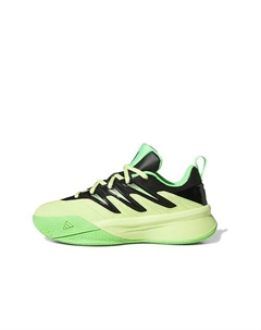 Кроссовки спортивные DAME CERTIFIED 3 J PULLIM/CBLACK/SCRGRN Adidas