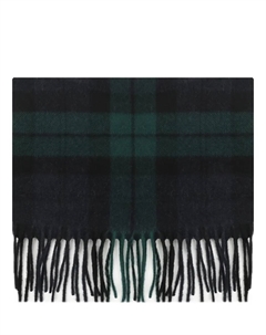 Шарф кашемировый Cesare gatti